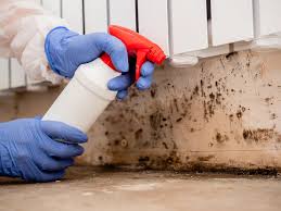 Best Forensic Mold Investigation  in Mineola, NY